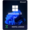 Windows 11 Professional - ESD